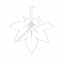 Удар Кадзухи