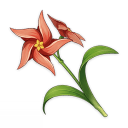 Ветряная астра