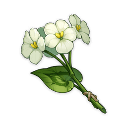 Цветок цинсинь