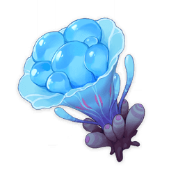 Морской гриб