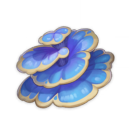 Грибы руккхашава