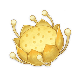 Лотос нилотпала