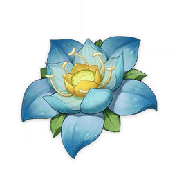 Лотос кальпалата