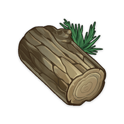 Ароматный кедр