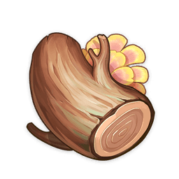 Древесина взрывопламенного дерева