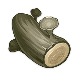 Древесина орешника