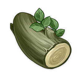 Древесина черешчатого дуба