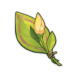 Нераспустившийся цветок