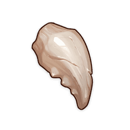 Клык взрослого