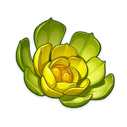 Первозданный цветок оазиса