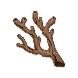 Коралловая ветвь внешних морей