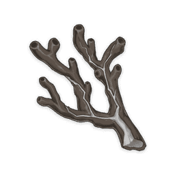 Драгоценная ветвь внешних морей