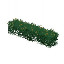 Цветущий кустарник