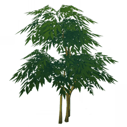 «Скрывающая листва»