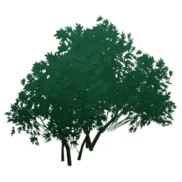 «Зелёный фонтан»