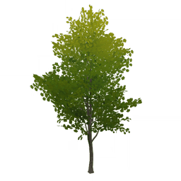 «Тёплый светоч»