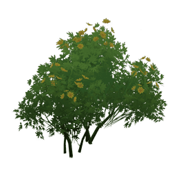 «Гнездо кристальных бабочек»