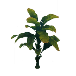 «Ароматные листья востока»