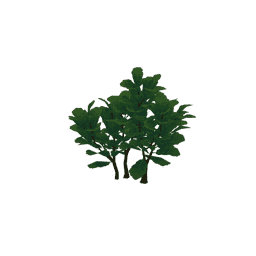 «Вечный праздник»