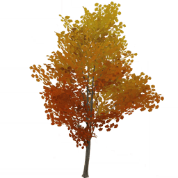 Золотое жемчужное дерево