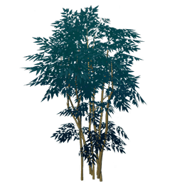 Густое бабочковое дерево