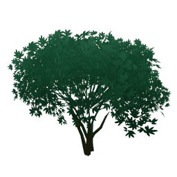 Водопадное растение