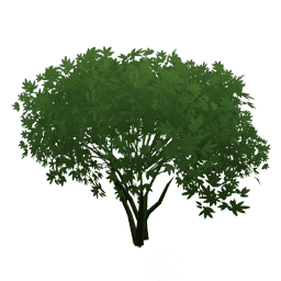 Изумрудное растение