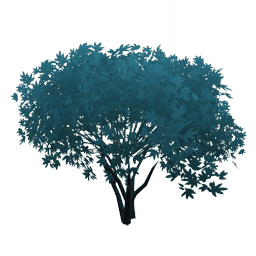 Бирюзовое растение