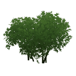 Изумрудные близнецы