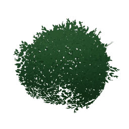 «Дикорастущее сидение»