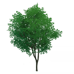 «Секрет охотника»