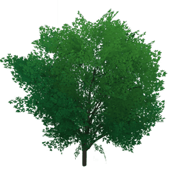 «Спасение добычи»