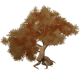 Красный клён Тяньхэн «Пылающая листва»