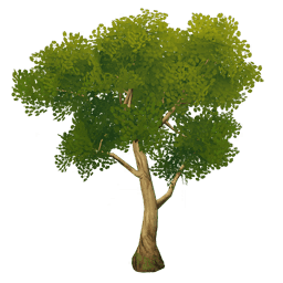 Жёлтое песчаное дерево