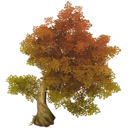 Золотое приземистое дерево