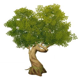 Зелёное приземистое дерево