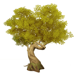 Янтарное приземистое дерево