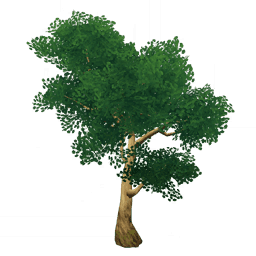 Зелёное дерево-меч