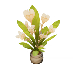 Звёздчатый гибискус: Осенний мандарин