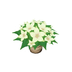 Гортензия: Шёлковый стручок