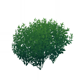 «Священный чайный источник»