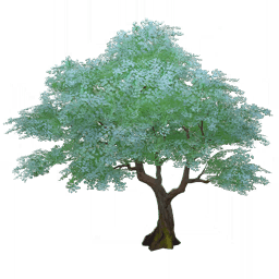 Снежный покров