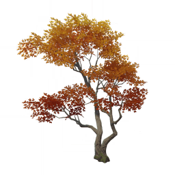 Поклон в объятии скал