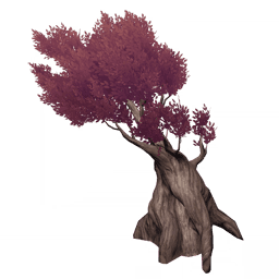 Бордовая роса