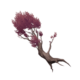 Бордовая игла