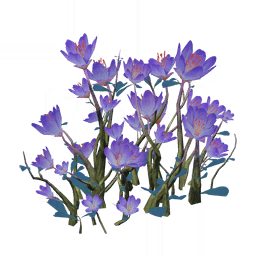 Мирный пурпур гибискуса