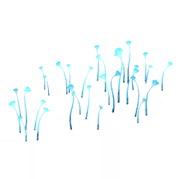 Сумеречная меланхолия