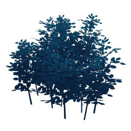 Бирюзовый бамбук