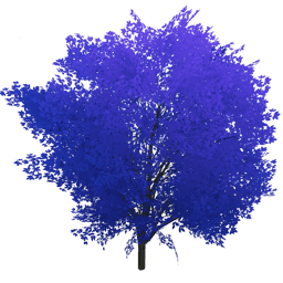 Среди покрытых росой листьев сирени