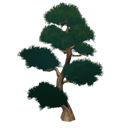 Сильная чайная сосна